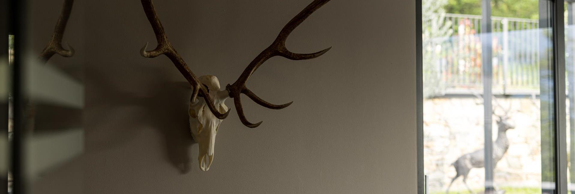 Eine Jagdtrophäe