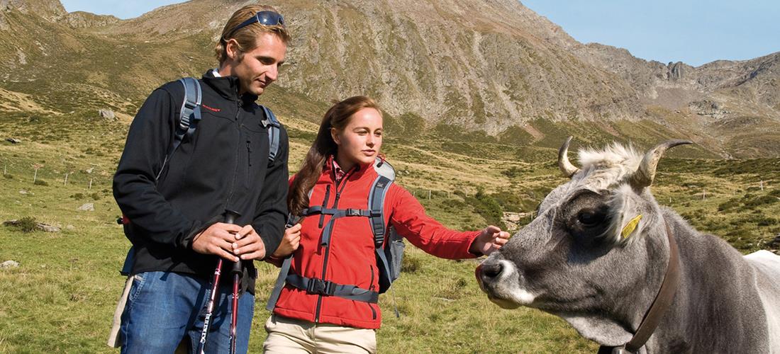 Trekking Scena Trentino Alto Adige