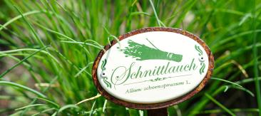 garten-finkennest-1
