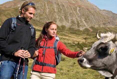 Wandern Schenna Südtirol