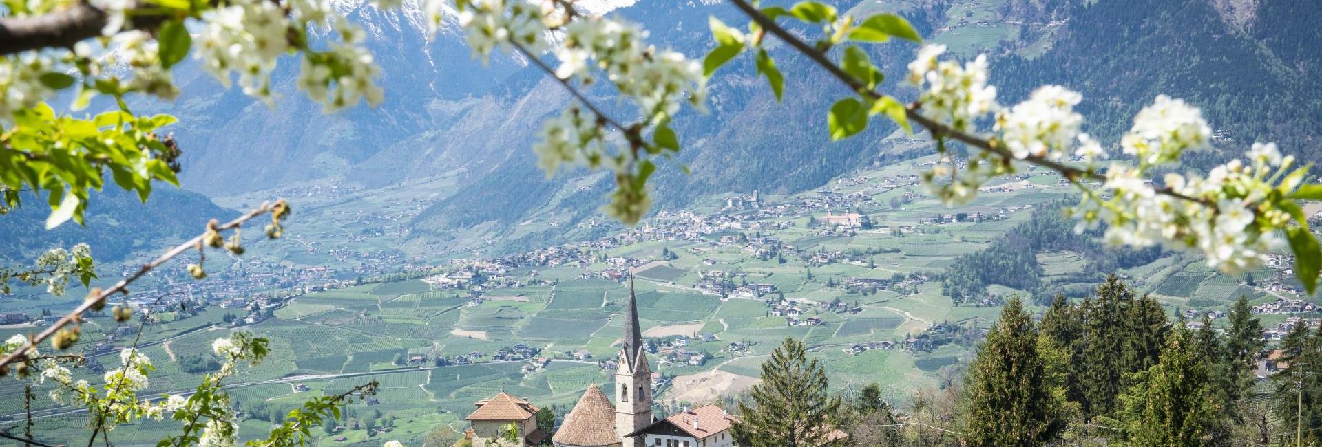 tourismusbuero-schenna-dietmar-denger-1